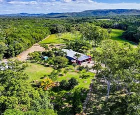 Rural / Farming commercial property for sale at 90 Stoney Creek Road Speewah QLD 4881