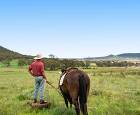 Rural / Farming commercial property for sale at "Mainbar Rise" 379 Inverramsay Road Goomburra QLD 4362