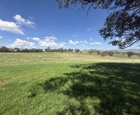 Rural / Farming commercial property for sale at Lot 172 & 173 Reynolds Lane Binalong NSW 2584