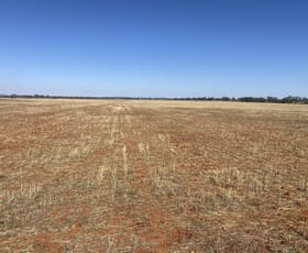 Rural / Farming commercial property for sale at 441 Imries Lane Tullibigeal NSW 2669