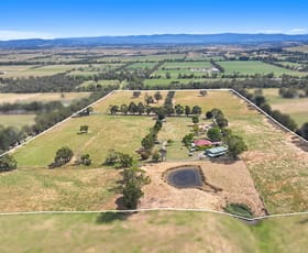 Rural / Farming commercial property for sale at 31 Jagoe Road Ripplebrook VIC 3818