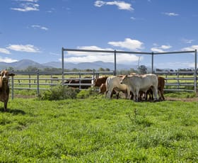 Rural / Farming commercial property for sale at 85 Colinwood Lane Boyne Valley QLD 4680