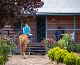 Rural / Farming commercial property for sale at 652 Mount Lindesay Road Tenterfield NSW 2372 Rural / Farming commercial property for sale at 652 Mount Lindesay Road Tenterfield NSW 2372