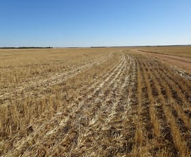 Rural / Farming commercial property for sale at 3397 Bendering Road Kondinin WA 6367