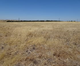 Rural / Farming commercial property for sale at 160 Chittleborough Road Brookton WA 6306
