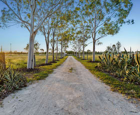 Rural / Farming commercial property for sale at 106 South Yaamba Road Alton Downs QLD 4702