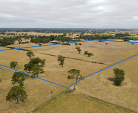 Rural / Farming commercial property for sale at Lot 899 Mount McIntyre Road Kalangadoo SA 5278