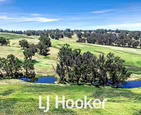 Rural / Farming commercial property for sale at 1 on DP 426021/ Bridgetown - Boyup Brook Road Boyup Brook WA 6244 Rural / Farming commercial property for sale at 1 on DP 426021/ Bridgetown - Boyup Brook Road Boyup Brook WA 6244