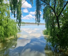 Rural / Farming commercial property for sale at 8172 Princes Highway Tailem Bend SA 5260