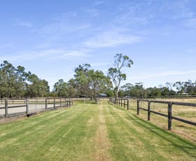 Rural / Farming commercial property for sale at 100 Bittern-Dromana Road Balnarring VIC 3926