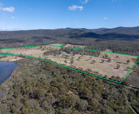 Rural / Farming commercial property for sale at 18427 Tasman Highway Bicheno TAS 7215