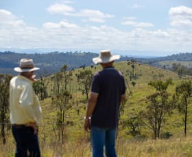 Rural / Farming commercial property for sale at 'Hutton' 570 Hazeldene Road Thanes Creek QLD 4370 Rural / Farming commercial property for sale at 'Hutton' 570 Hazeldene Road Thanes Creek QLD 4370