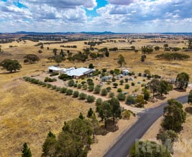 Rural / Farming commercial property for sale at 6054 Holbrook Road Maxwell NSW 2650 Rural / Farming commercial property for sale at 6054 Holbrook Road Maxwell NSW 2650