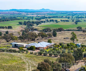 Rural / Farming commercial property for sale at 6054 Holbrook Road Maxwell NSW 2650