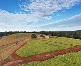 Rural / Farming commercial property for sale at 63 Griggs Road Eureka QLD 4660