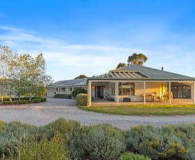 Rural / Farming commercial property for sale at 164 Sills Lane Mudgee NSW 2850
