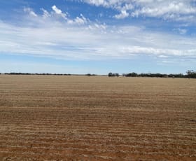Rural / Farming commercial property for sale at - Henty Highway Hopetoun VIC 3396