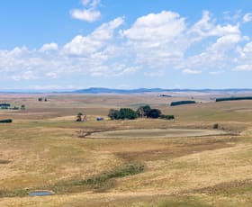 Rural / Farming commercial property for sale at 77 Aerodrome Road Bombala NSW 2632