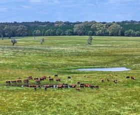 Rural / Farming commercial property for sale at 1090 Six Chain Road Killara VIC 3312