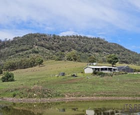 Rural / Farming commercial property for sale at 59 Dolahentys Branch Road Muswellbrook NSW 2333 Rural / Farming commercial property for sale at 59 Dolahentys Branch Road Muswellbrook NSW 2333