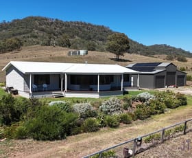 Rural / Farming commercial property for sale at 59 Dolahentys Branch Road Muswellbrook NSW 2333