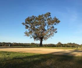 Rural / Farming commercial property for sale at Nolans Road Hynam SA 5262 Rural / Farming commercial property for sale at Nolans Road Hynam SA 5262