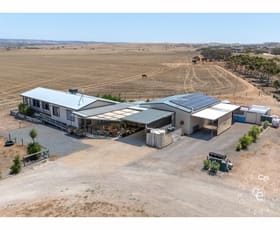 Rural / Farming commercial property for sale at 17 Marks Road Mannum SA 5238 Rural / Farming commercial property for sale at 17 Marks Road Mannum SA 5238