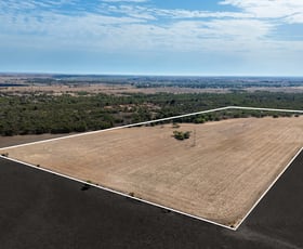 Rural / Farming commercial property for sale at Lot/3 Gardner Road Tailem Bend SA 5260