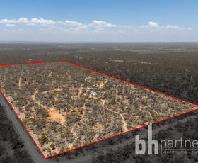 Rural / Farming commercial property for sale at 15 Bliss Road Fisher SA 5354