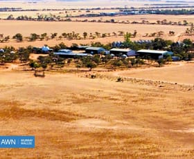 Rural / Farming commercial property for sale at Taplan SA 5311 Rural / Farming commercial property for sale at Taplan SA 5311