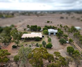 Rural / Farming commercial property for sale at 82 Geoghegan Road Roma QLD 4455