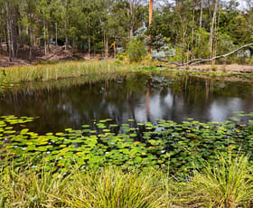 Rural / Farming commercial property for sale at 75 Smiths Creek Road Kundabung NSW 2441