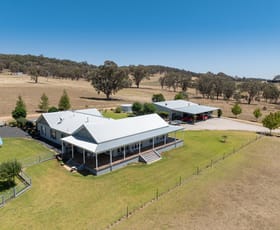 Rural / Farming commercial property for sale at 1237 Peabody Road Molong NSW 2866