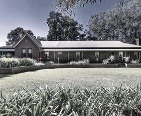 Rural / Farming commercial property for sale at 491 Dalziel Road Winkie SA 5343 Rural / Farming commercial property for sale at 491 Dalziel Road Winkie SA 5343