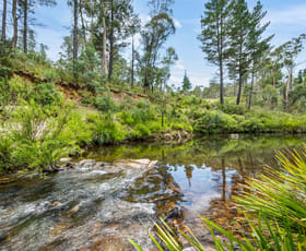 Rural / Farming commercial property for sale at 7288 Nerriga Road Braidwood NSW 2622