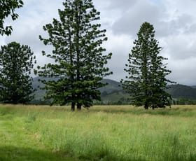 Rural / Farming commercial property for sale at 43 Cutmore Road Obi Obi QLD 4574