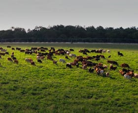 Rural / Farming commercial property for sale at "Strathmore" Burra Burri Road Chahpingah QLD 4610