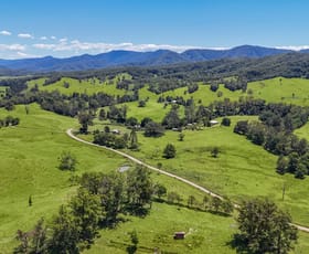 Rural / Farming commercial property for sale at 55 Argues Rd Upper Taylors Arm NSW 2447