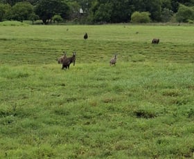 Rural / Farming commercial property for sale at Toll QLD 4820