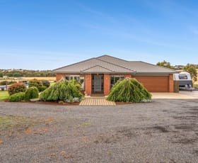 Rural / Farming commercial property for sale at 45 Collins Road Irrewarra VIC 3249