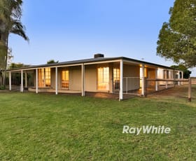 Rural / Farming commercial property for sale at 62 Sculthorpe Road Nangiloc VIC 3494 Rural / Farming commercial property for sale at 62 Sculthorpe Road Nangiloc VIC 3494