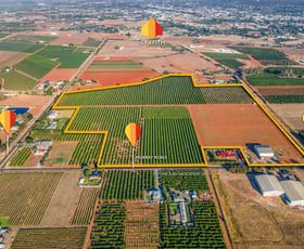 Rural / Farming commercial property for sale at 72 Murray Road Yoogali NSW 2680