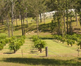 Rural / Farming commercial property for sale at Bulldog NSW 2469