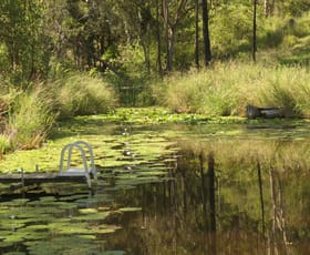 Rural / Farming commercial property for sale at Bulldog NSW 2469