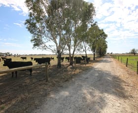 Rural / Farming commercial property for sale at 1480 Fennaughty Road Merrigum VIC 3618