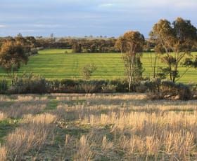 Rural / Farming commercial property for sale at Lot 1, 905 Ngallo Road Carina VIC 3512