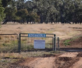 Rural / Farming commercial property for sale at " Northam" Wyandra QLD 4489 Rural / Farming commercial property for sale at " Northam" Wyandra QLD 4489