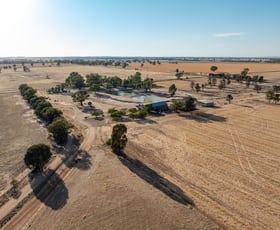Rural / Farming commercial property for sale at 3391 Albury Road Lockhart NSW 2656