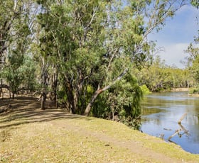 Rural / Farming commercial property for sale at 1152 Central Island Road Galore NSW 2650