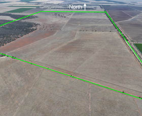 Rural / Farming commercial property for sale at NIP 418/1278 Boundary Road Leeton NSW 2705